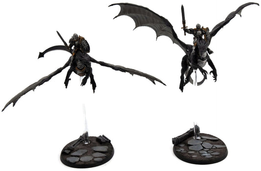 STORMCAST ETERNALS 2 Stromdrake Guard #2 WELL PAINTED Warhammer Sigmar