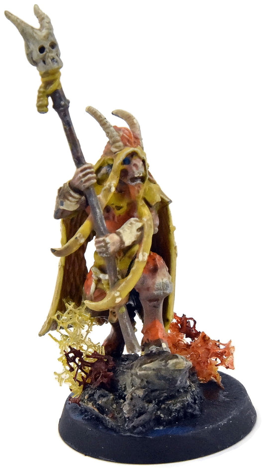 BEASTS OF CHAOS Great Bray Shaman #1 Sigmar WELL PAINTED