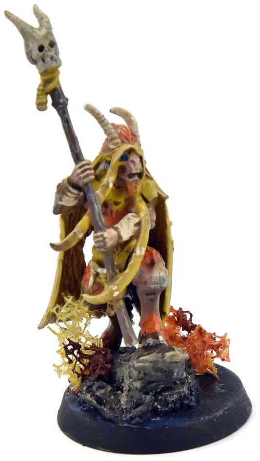 BEASTS OF CHAOS Great Bray Shaman #1 Sigmar WELL PAINTED