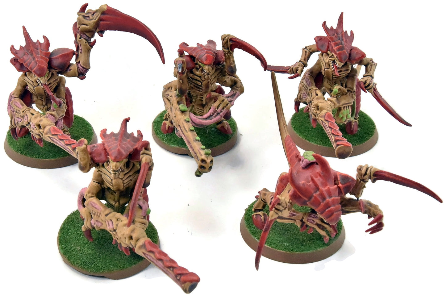 TYRANIDS 5 Warriors #1 broken bits Warhammer 40K WELL PAINTED
