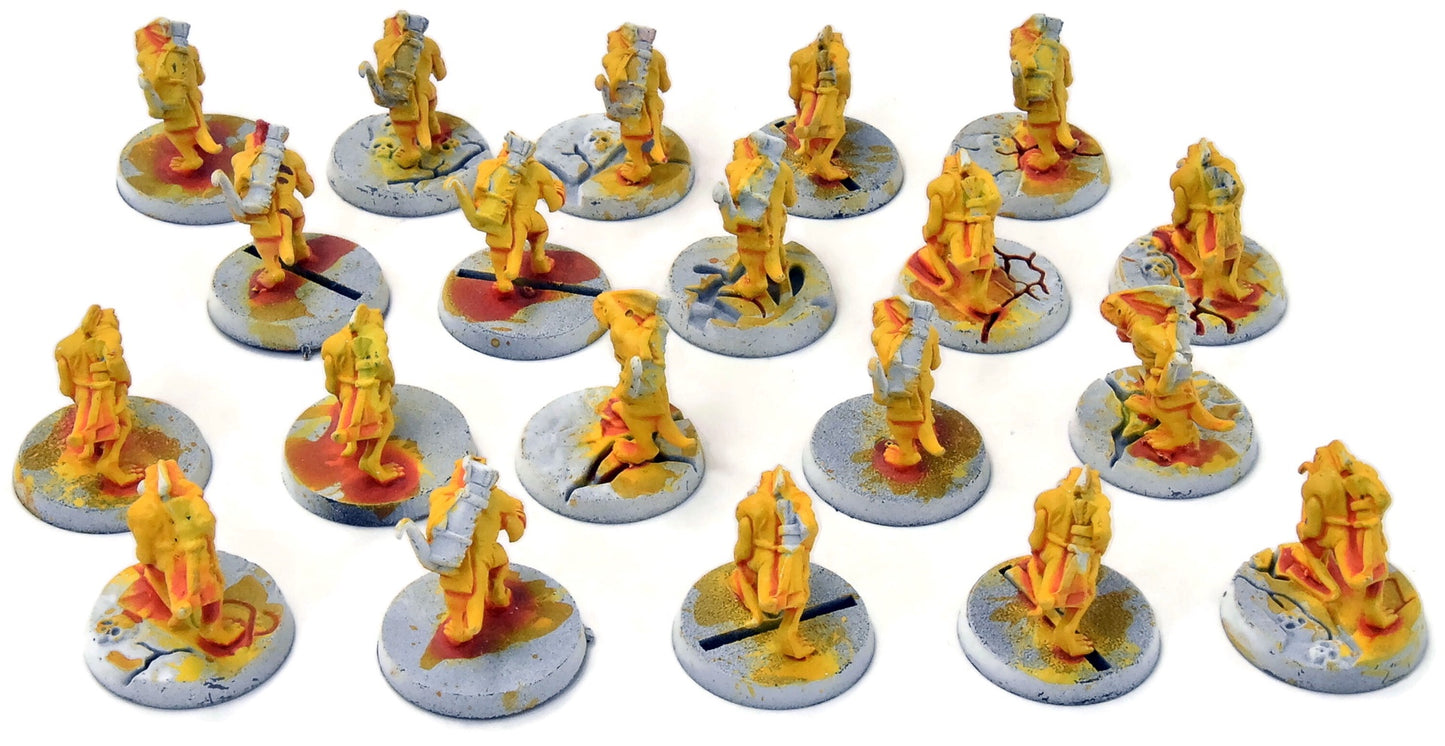 SERAPHON 20 Skinks #1 Sigmar 8828