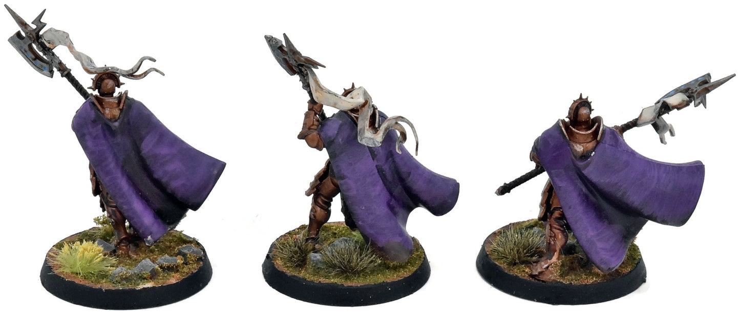 STORMCAST ETERNALS 3 Praetors #2 WELL PAINTED Warhammer Sigmar