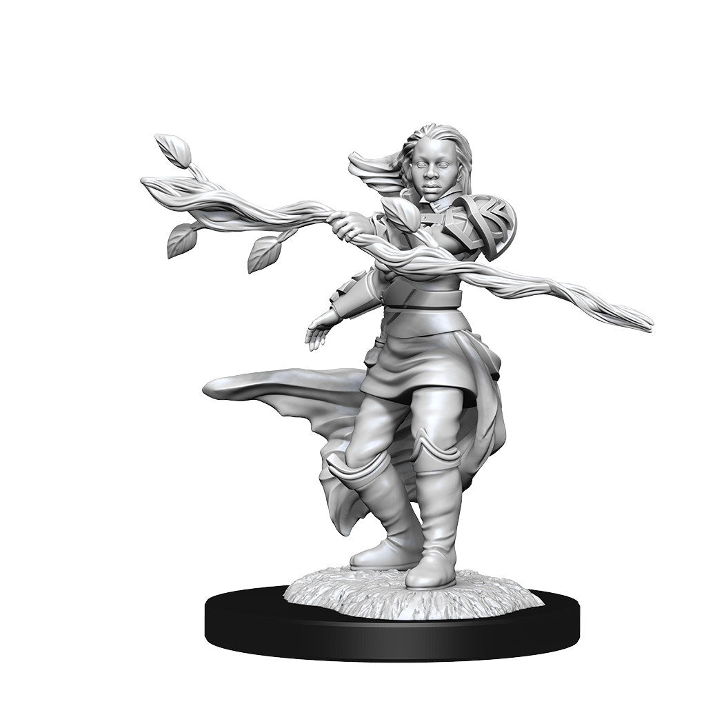 D&D Unpainted Minis Wv14 Human Druid Female