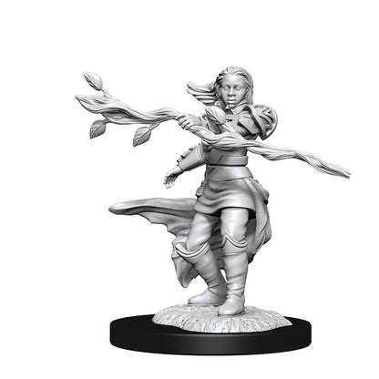 D&D Unpainted Minis Wv14 Human Druid Female