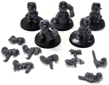 SPACE WOLVES 5 Wolf Guard Terminator 1 missing paladin Warhammer 40K