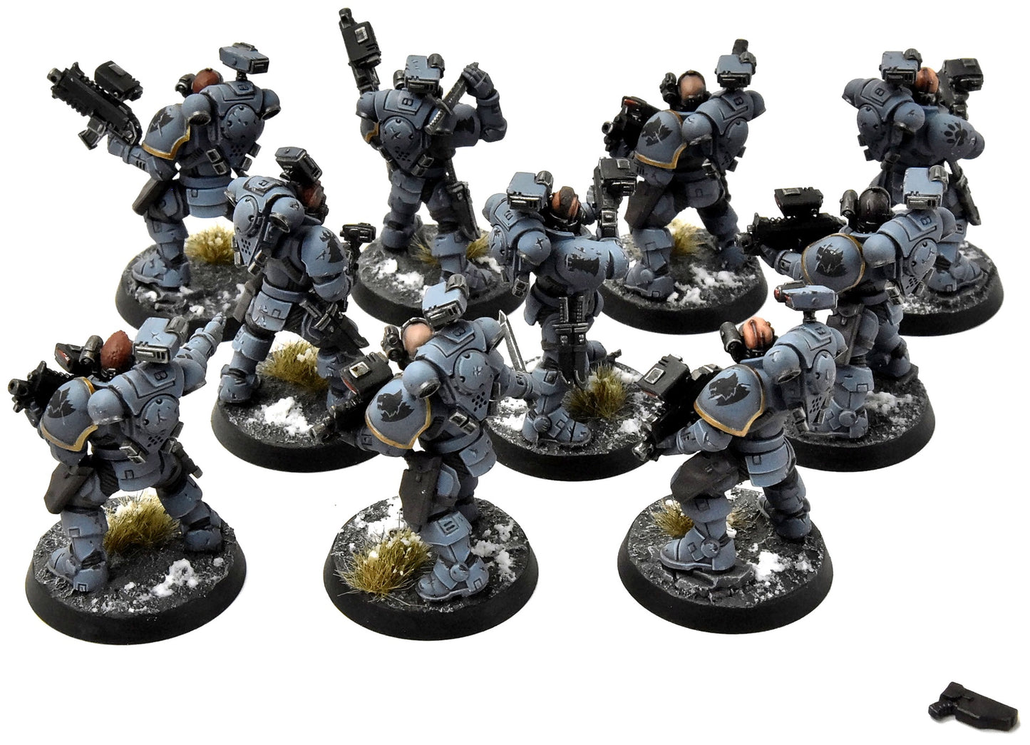 SPACE WOLVES 10 Incursors #1 PRO PAINTED Warhammer 40K