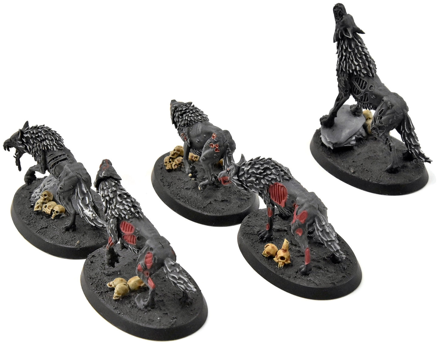 SOULBLIGHT GRAVELORDS Dire Wolves #1 WELL PAINTED Sigmar