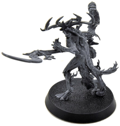 SYLVANETH Branchwych #2 Sigmar