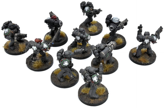 SPACE MARINES 10 Tactical Squad #3 WELL PAINTED 40K Raven Guard