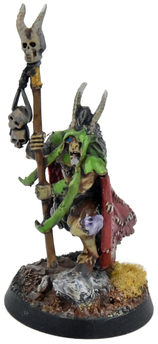 BEASTS OF CHAOS Great-Bray Shaman #1 WELL PAINTED Warhammer Sigmar