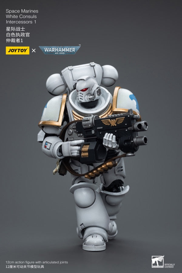 White Consuls Intercessors 1 Space Marines Joy Toy