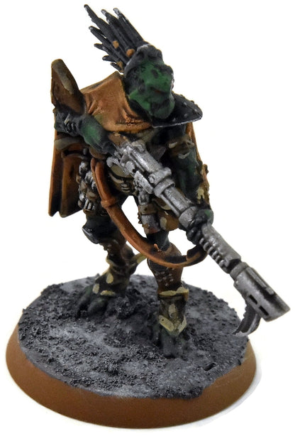 TAU EMPIRE Dahyak Grekh Kroot Tracker #1 PRO PAINTED Warhammer 40K