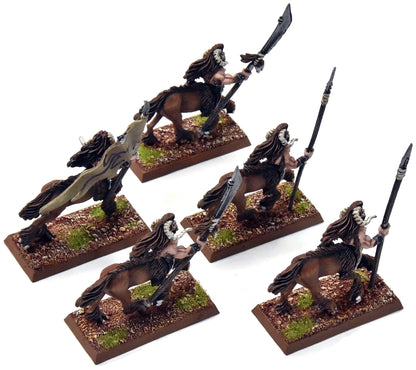 BEASTMEN 5 Centigor Herds #1 PRO PAINTED Metal