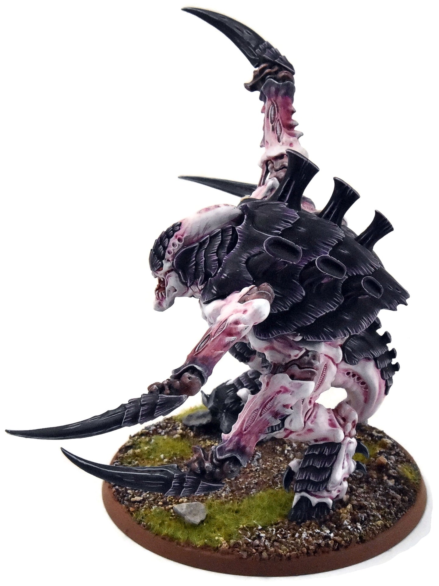 TYRANIDS Screamer Killer #1 PRO PAINTED Warhammer 40K