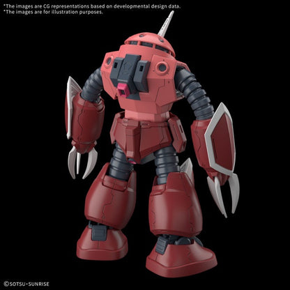 Z'GOK(SEED FREEDOM Ver.) HG 1/144
