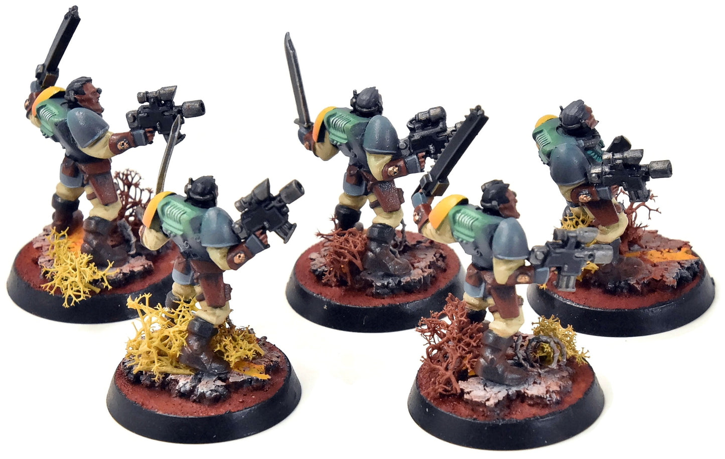 SPACE MARINES 5 Scouts #4 PRO PAINTED Warhammer 40K
