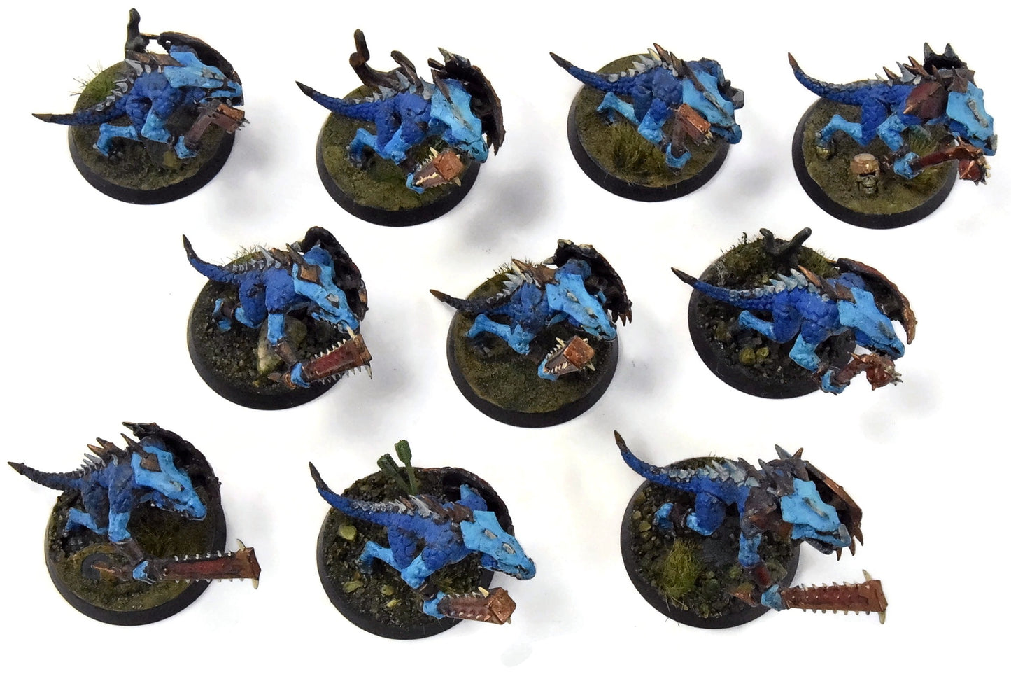 SERAPHON 10 Saurus Warriors #1 WELL PAINTED Sigmar