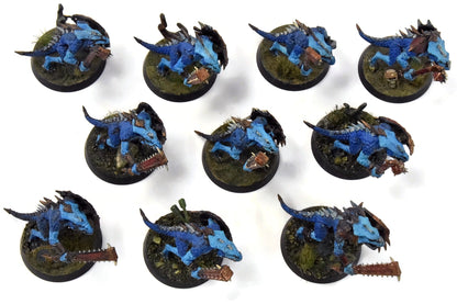 SERAPHON 10 Saurus Warriors #1 WELL PAINTED Sigmar