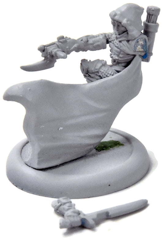 WARMACHINE Eiryss. Mage Hunter of Ios #1 METAL mercenairies