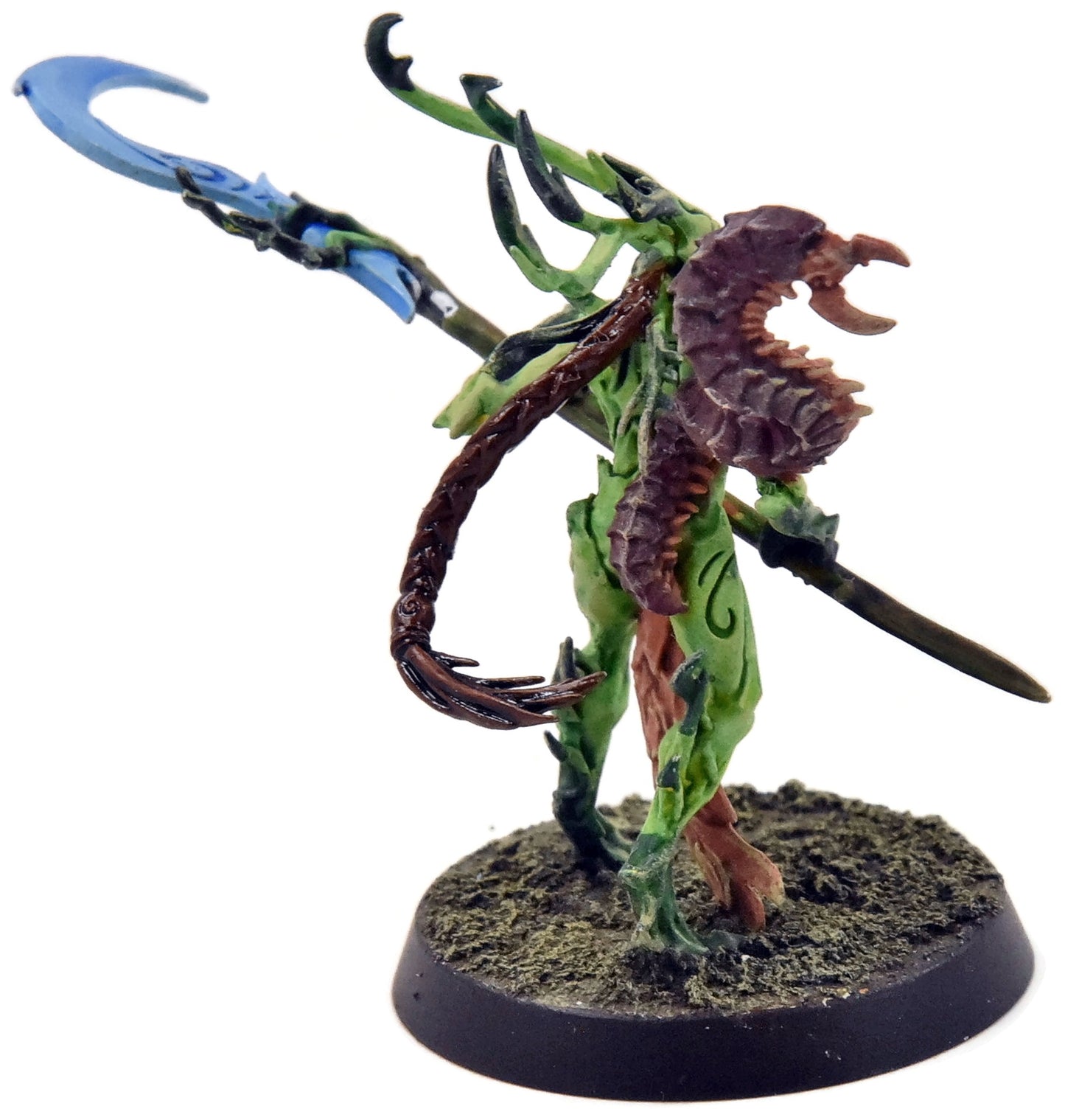 SYLVANETH Branchwych #1 PRO PAINTED Sigmar