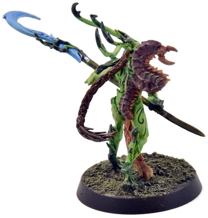 SYLVANETH Branchwych #1 PRO PAINTED Sigmar