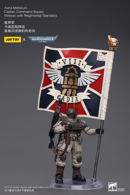 Cadian Command Squad Veteran with Regimental Standard Astra Militarum Joy Toy