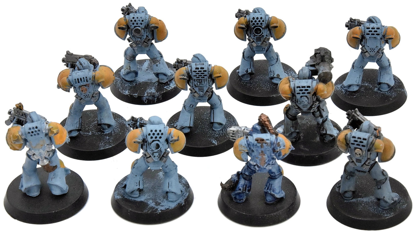 SPACE WOLVES 10 Grey Hunter #2 Warhammer 40K