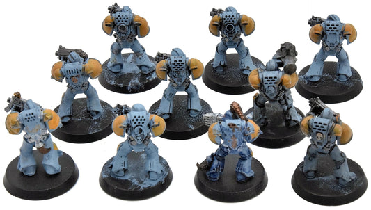 SPACE WOLVES 10 Grey Hunter #2 Warhammer 40K