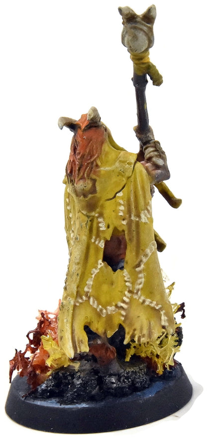 BEASTS OF CHAOS Great Bray Shaman #1 Sigmar WELL PAINTED