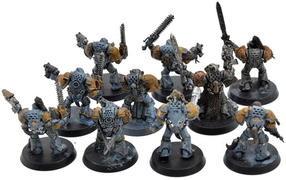 SPACE WOLVES 10 Grey Hunter #3 Warhammer 40K