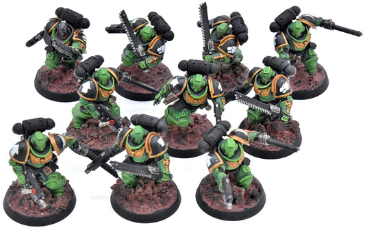 SPACE MARINES 10 Assault Intercessors #1 WELL PAINTED Warhammer 40K salamanders