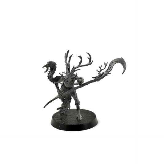 SYLVANETH Branchwych #1 Sigmar