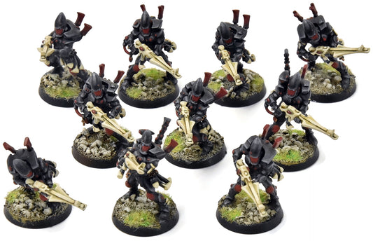 AELDARI 10 Guardians #1 PRO PAINTED Warhammer 40K