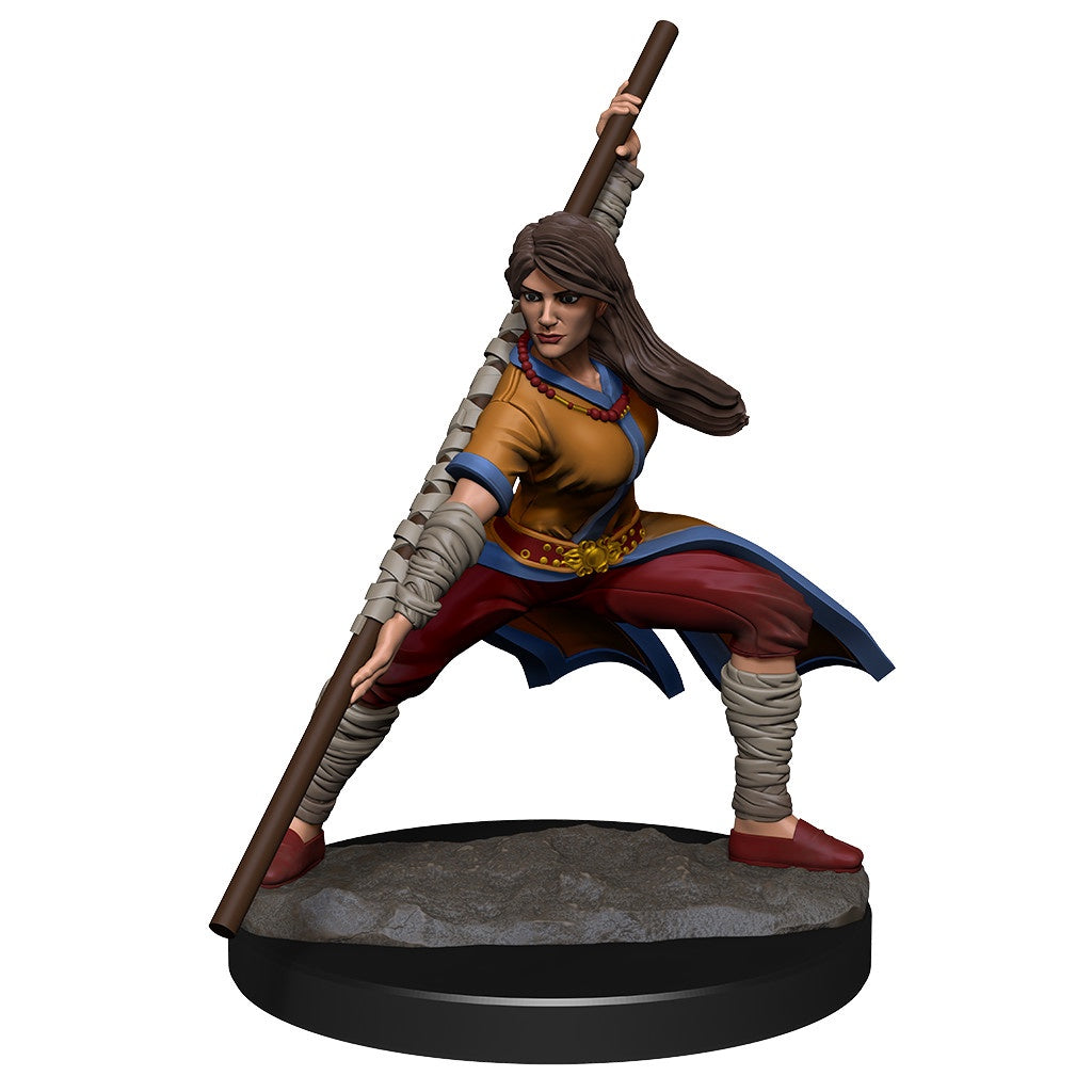 D&D Unpainted Minis Wv14 Human Monk Female