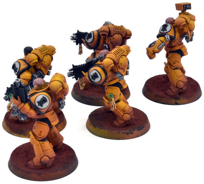 SPACE MARINES 5 Primaris Intercessors #1 PRO PAINTED 40K Imperial Fists