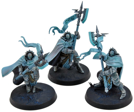 STORMCAST ETERNALS 3 Praetors #1 WELL PAINTED Warhammer Sigmar