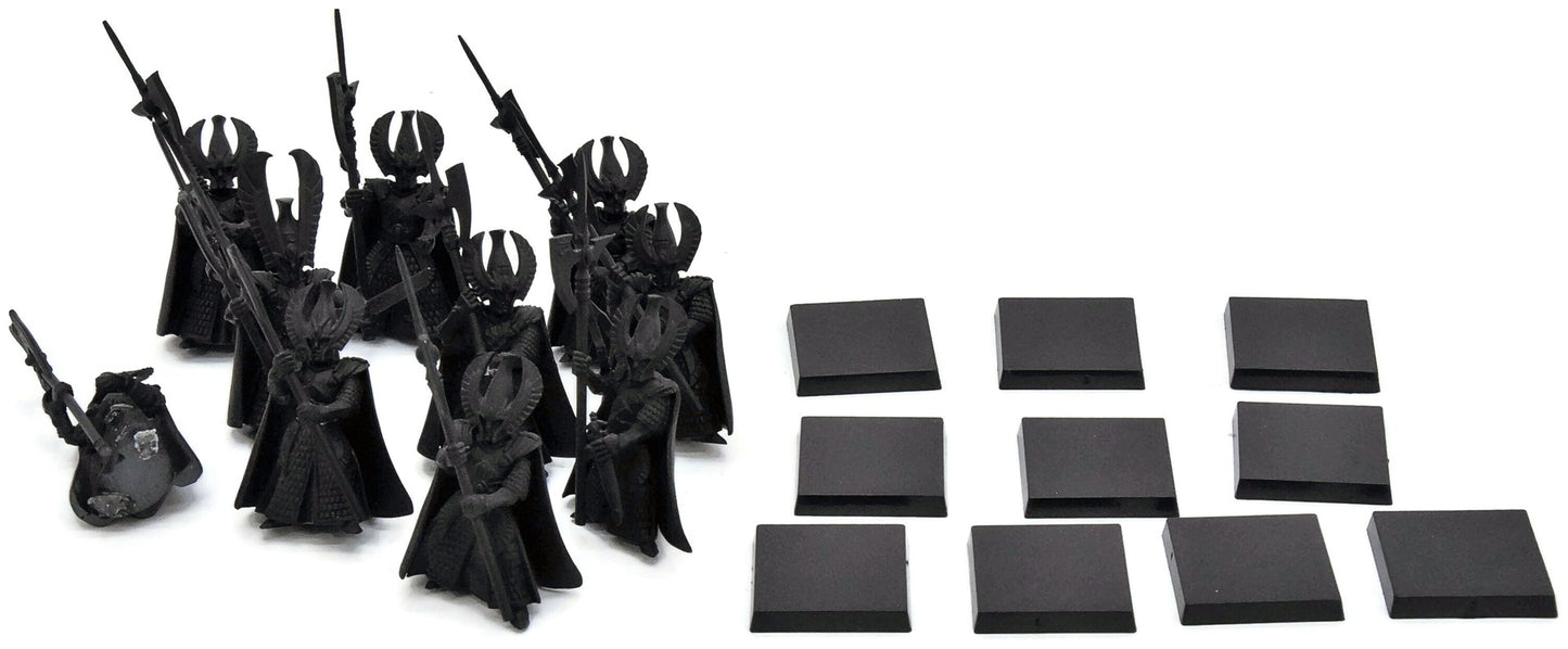 HIGH ELVES 10 Phoenix Guard #1 command Warhammer Fantasy