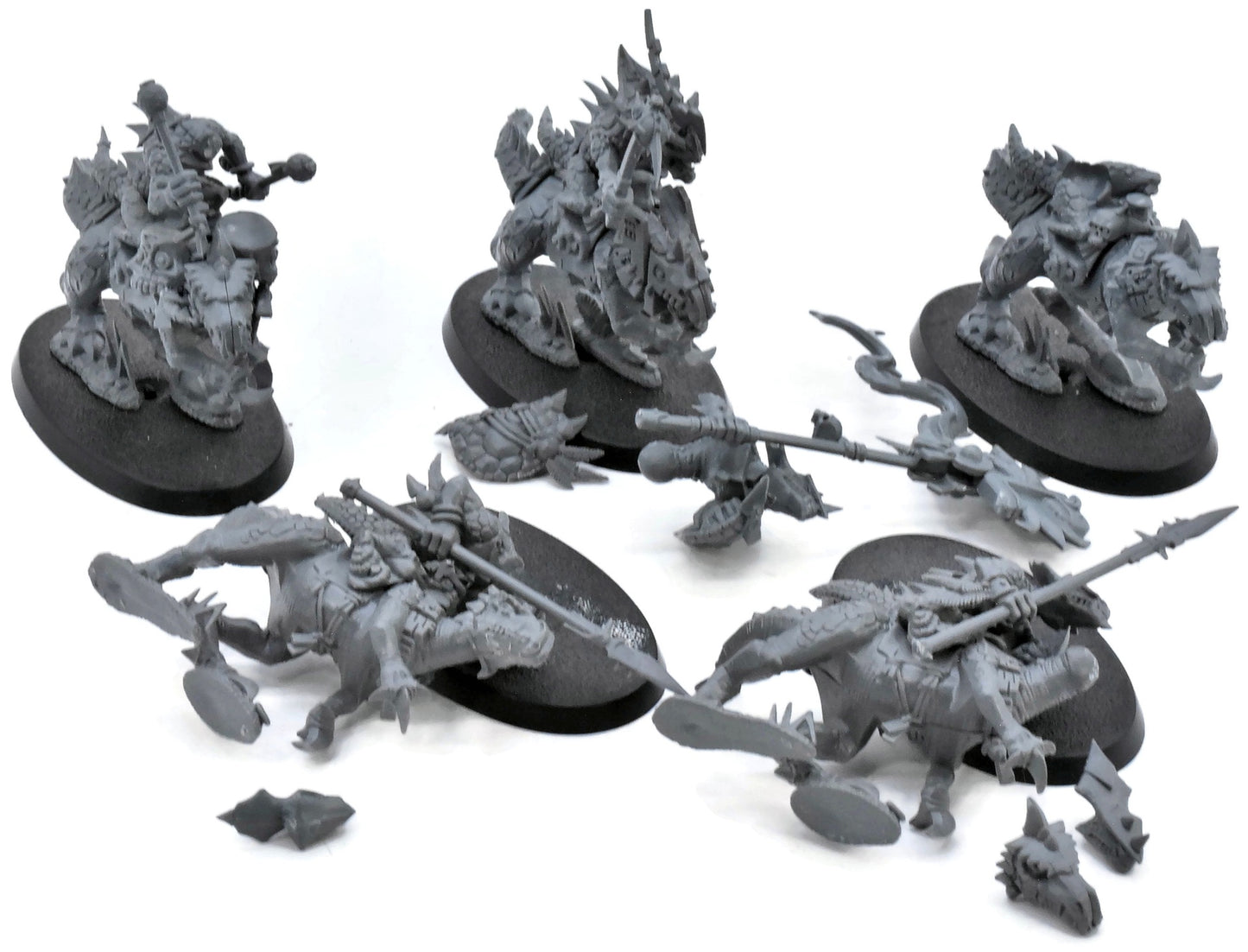 SERAPHON 5 Cold One Riders #2 Warhammer Sigmar