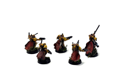 SPACE MARINES 5 Assault Intercessors #1 PRO PAINTED Minotaurs 40k