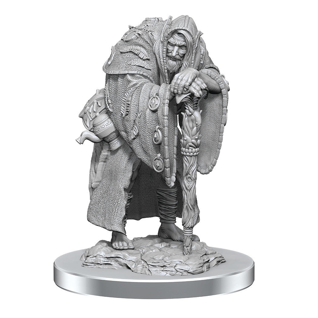 D&D Nolzur’s Marvelous Miniatures - Wereravens