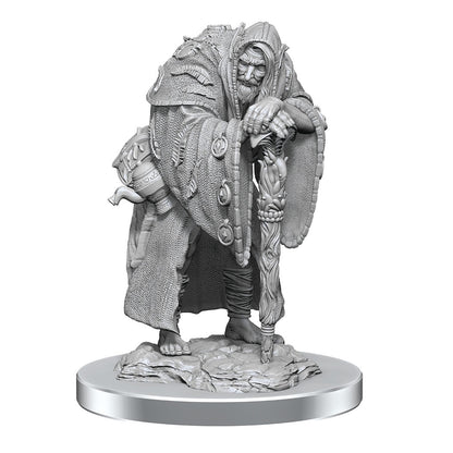 D&D Nolzur’s Marvelous Miniatures - Wereravens