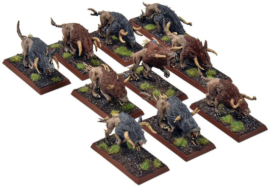 BEASTMEN 10 Chaos Warhounds #1 PRO PAINTED Fantasy