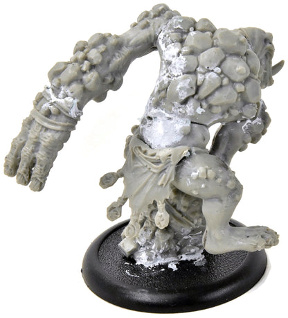 HORDES Earthborn Dire Troll #1 TROLLBLOODS