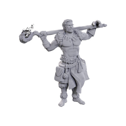 D&D Unpainted Minis WV24 Archdruid & Martial Arts Adept