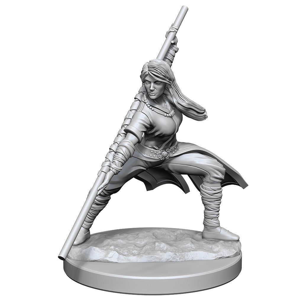 D&D Unpainted Minis Wv14 Human Monk Female