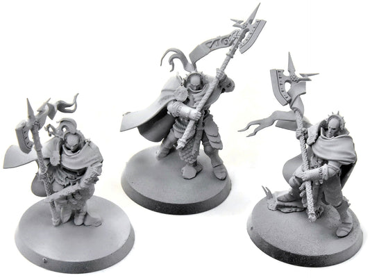 STORMCAST ETERNALS 3 Praetor #1 Heavy Paint Sigmar