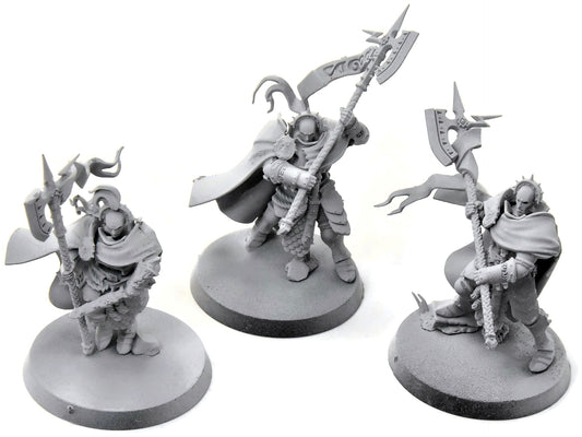 STORMCAST ETERNALS 3 Praetor #1 Heavy Paint Sigmar