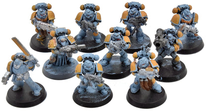 SPACE WOLVES 10 Blood Claw #1 Warhammer 40K