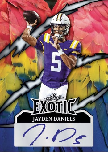 Leaf Eclectic Football 2024