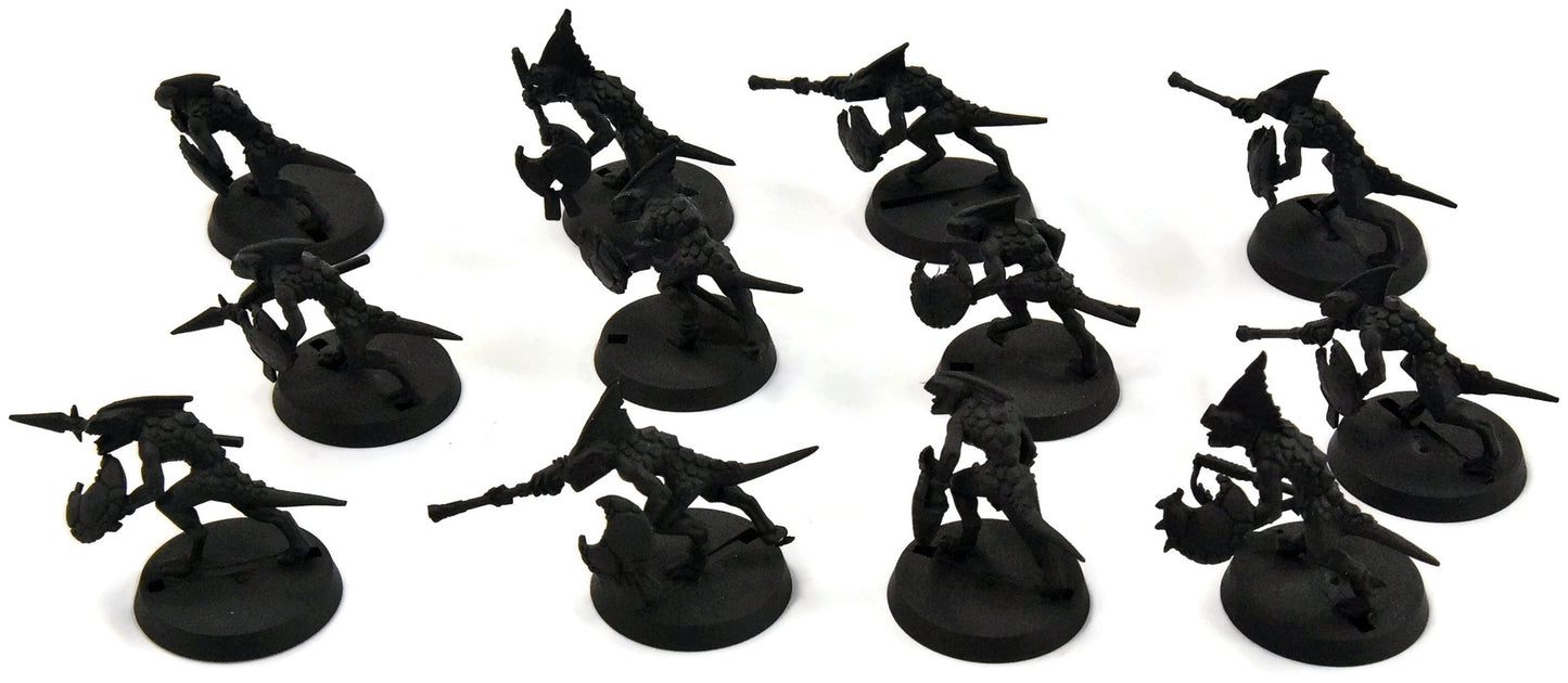 SERAPHON 12 Skinks #1 Sigmar